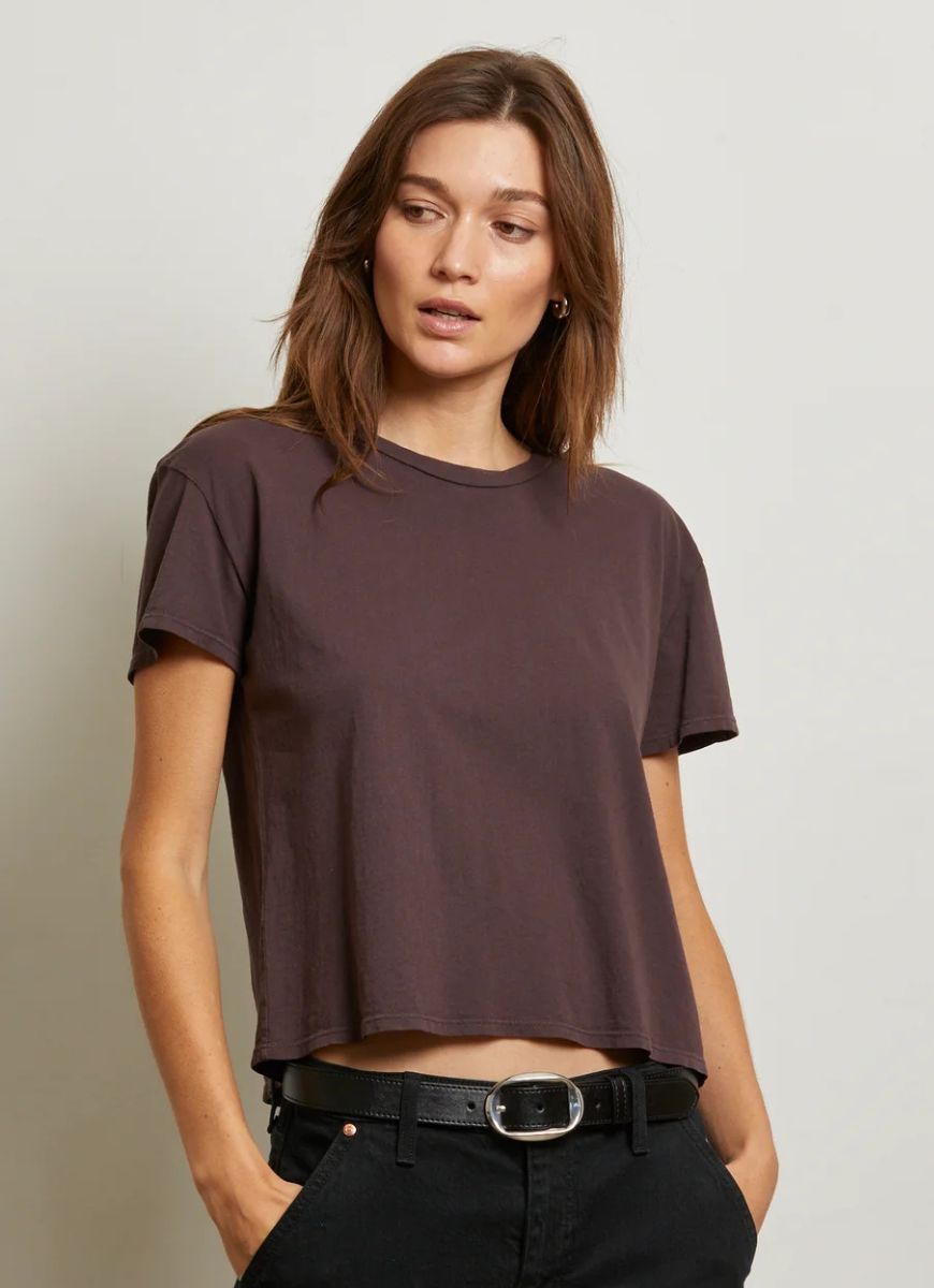 perfectwhitetee Harley Crew Tee in Cocoa Powder Front View