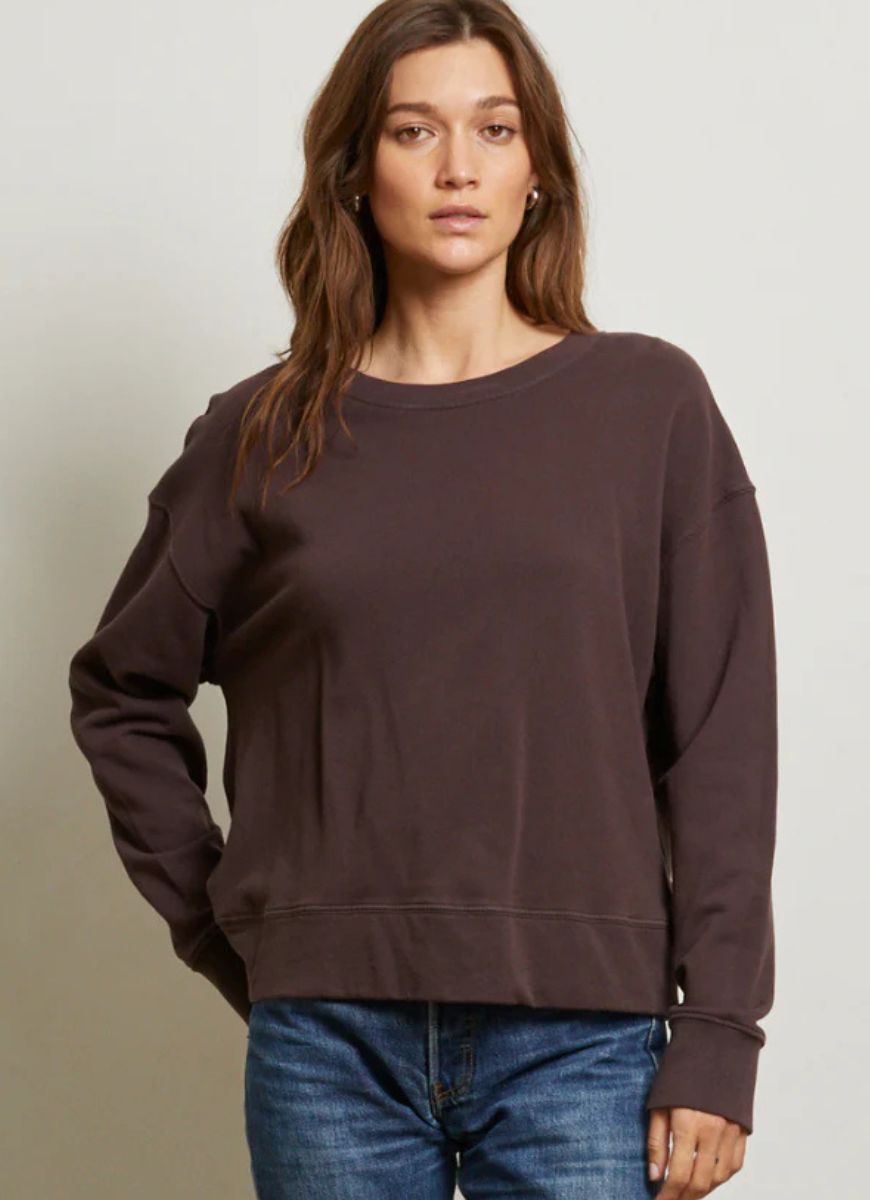 perfectwhitetee Tyler Pullover Sweatshirt in Cocoa Powder Alternate Front View